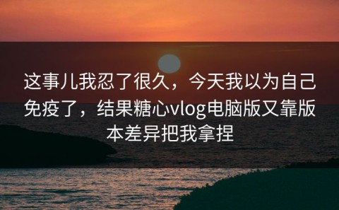 这事儿我忍了很久，今天我以为自己免疫了，结果糖心vlog电脑版又靠版本差异把我拿捏
