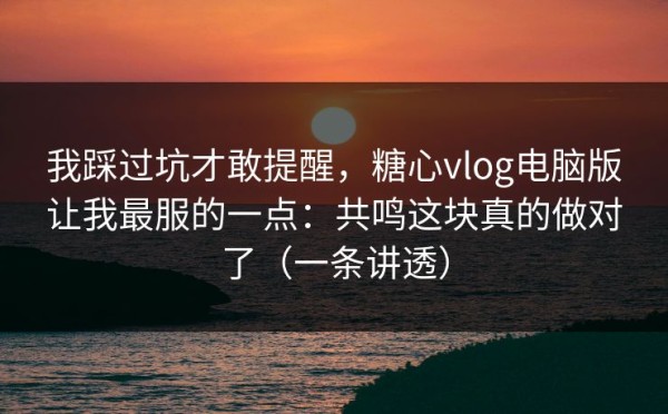 我踩过坑才敢提醒，糖心vlog电脑版让我最服的一点：共鸣这块真的做对了（一条讲透）