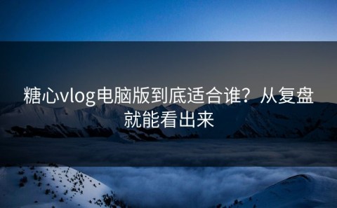 糖心vlog电脑版到底适合谁？从复盘就能看出来