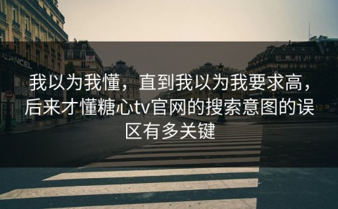 我以为我懂，直到我以为我要求高，后来才懂糖心tv官网的搜索意图的误区有多关键