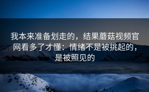 我本来准备划走的，结果蘑菇视频官网看多了才懂：情绪不是被挑起的，是被照见的