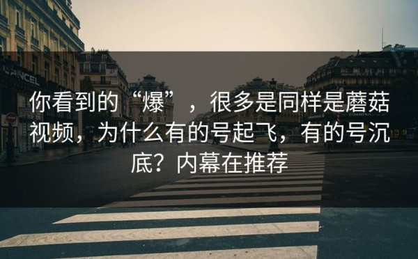 你看到的“爆”，很多是同样是蘑菇视频，为什么有的号起飞，有的号沉底？内幕在推荐