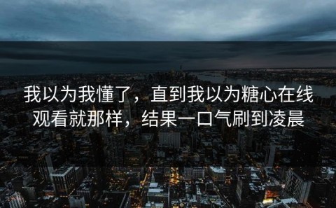 我以为我懂了，直到我以为糖心在线观看就那样，结果一口气刷到凌晨