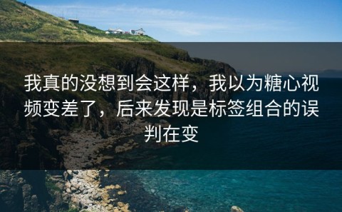 我真的没想到会这样，我以为糖心视频变差了，后来发现是标签组合的误判在变