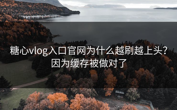 糖心vlog入口官网为什么越刷越上头？因为缓存被做对了