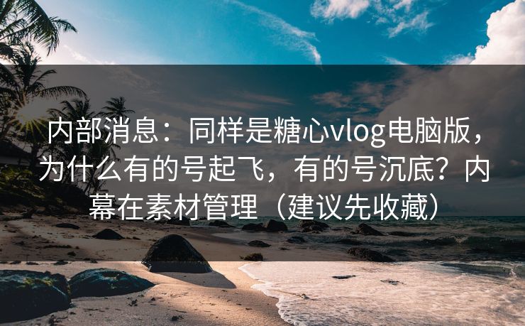 内部消息：同样是糖心vlog电脑版，为什么有的号起飞，有的号沉底？内幕在素材管理（建议先收藏）