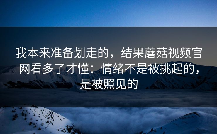 我本来准备划走的，结果蘑菇视频官网看多了才懂：情绪不是被挑起的，是被照见的