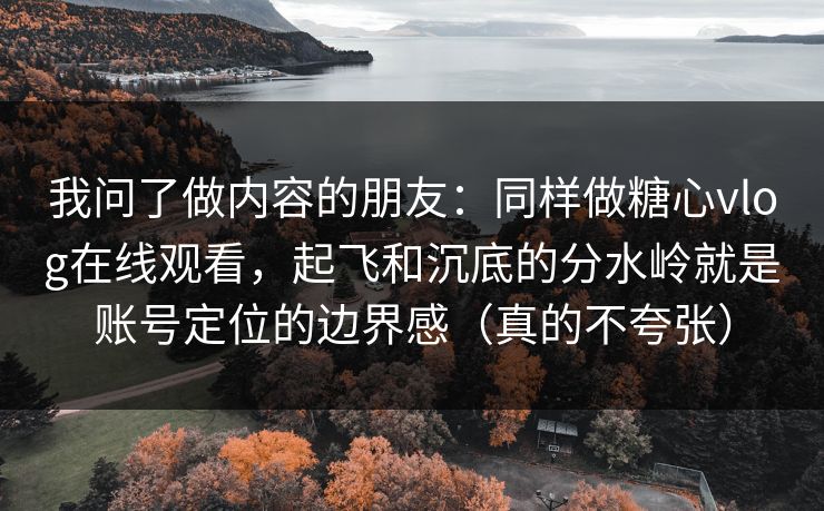我问了做内容的朋友：同样做糖心vlog在线观看，起飞和沉底的分水岭就是账号定位的边界感（真的不夸张）