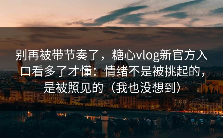 别再被带节奏了，糖心vlog新官方入口看多了才懂：情绪不是被挑起的，是被照见的（我也没想到）