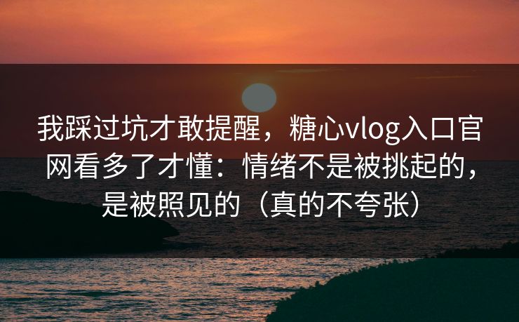 我踩过坑才敢提醒，糖心vlog入口官网看多了才懂：情绪不是被挑起的，是被照见的（真的不夸张）